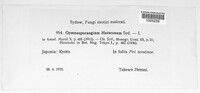 Gymnosporangium haraeanum image